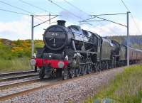 45231 + 62005 passing Fullwood, between Lanark Junction and Carluke, on 14 May 2009 en route from Carnforth to Fort William with the empty stock of <I>The Jacobite</I>.<br><br>[Bill Roberton 14/05/2009]