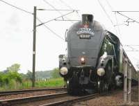 A4 Pacific no 60007 <I>Sir Nigel Gresley</I> at St Germains on 16 May with the York - Edinburgh leg of <i>The Coronation</i> special.<br><br>[Mark Poustie 16/05/2009]