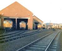 Type 2 diesel locomotives on shed at Inverness on Saturday 15 April 1978. In the picture from left to right are 26018, 25228, 27032, 26013 and 27026. <br><br>[David Pesterfield 15/04/1978]