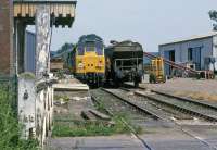 The shunter hitches a precarious ride from 31106 as the loco runs around its train of grain wagons in June 1987. The granary at North Elmham closed 18 months later, thus bringing an end to all rail traffic north of Dereham (passenger traffic ceased in 1964). The disused line and station remain for possible reopening as an extension of the Mid Norfolk Railway, but the granary is long since demolished to make way for housing.<br><br>[Mark Dufton /06/1987]