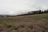 Black 5 no 5025 at the front of a Strathspey Railway service from Aviemore to Boat of Garten is seen approaching the halfway point between stations in the summer of 1989. <br><br>[John McIntyre //1989]