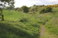 A sylvan setting on the south-western fringes of Kinghorn in May 2009, but the curving field boundary in centre-left gives a clue that this was the course of the former Binnend Oilworks railway, closed in 1905.<br>
<br><br>[Bill Roberton 23/05/2009]