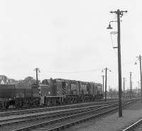 Shunters on Shed - a Barclay Class 06 no 2423 and three Class 08 shunters bufferred up to one another at Ferryhill MPD in 1973.<br><br>[John McIntyre 03/06/1973]