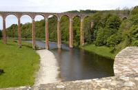 Leaderfoot Viaduct on 25 May 2009.<br>
<br><br>[Bill Roberton 25/05/2009]