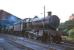 Ex-GWR Grange class 4-6-0 no 6815 <i>Frilford Grange</i>, minus nameplate and other removables, photographed on shed at 85A Worcester in August 1965 alongside a pair of GWR pannier tanks. The locomotive was withdrawn from Severn Tunnel Junction (86E) some 3 months later and cut up at Buttigiegs, Newport, in January of 1966.<br><br>[Robin Barbour Collection (Courtesy Bruce McCartney) 08/08/1965]