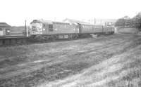 D5311 southbound at Riccarton Junction on 4 January 1969 with the 3pm Edinburgh - Carlisle service on the final Saturday of operations. The train is carrying the Border Railway Society's <I>Farewell to the Waverley</I> headboard.<br><br>[Robin Barbour Collection (Courtesy Bruce McCartney) 04/01/1969]