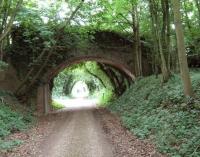 Meon Valley Railway between Alton and Fareham. Overbridge to Home Farm near Chawton.<br><br>[Alistair MacKenzie 12/06/2009]