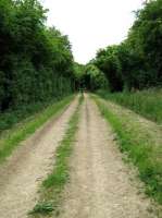 Meon Valley Railway between Alton and Fareham. Section of trackbed near Chawton, part of Jane Austen Walk.<br><br>[Alistair MacKenzie 12/06/2009]