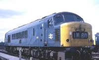 In BR Blue and pre TOPS number, D181 stands at Lonsight MPD between turns on 19 May 1970. The Class 46 <I>Peak</I> is sharing the shed with a variety of diesel and electric locomotives as well as a number of DMUs, one of which can just be seen on the right of the photograph.<br><br>[John McIntyre 19/05/1970]