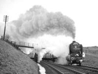 The Warwickshire Railway Society <I>Waverley Railtour</I> from Birmingham seen near The Golden Bridge on the approach to Whitrope on a snowy 11 December 1965. Peppercorn A2 Pacific no 60528 <I>Tudor Minstrel</I> is in charge, having taken over the train from Jubilee 45697 <I>Achilles</I> at Carlisle for the journey to Edinburgh. <br><br>[Robin Barbour Collection (Courtesy Bruce McCartney) 11/12/1965]