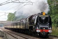 6233 <I>Duchess of Sutherland</I> at speed on the return Cumbrian Mountain Express railtour with load 13, on the long straight just north of the site of Brock station, 18 July 2009.<br><br>[John McIntyre 18/07/2009]