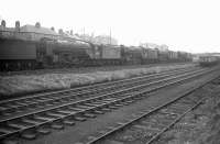 Withdrawn locomotives in the yard at Bathgate in January 1964. In the background stand Lindsay High School and St Mary's RC High School, both of which have since been demolished. In the centre is class A2 Pacific no 60529 <I>Pearl Diver</I>, withdrawn from St Margarets in December 1962 and disposed of via Campbells of Airdrie in June 1964.<br><br>[Robin Barbour Collection (Courtesy Bruce McCartney) 03/01/1964]