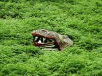 The Crocodile Rock east of St Fillans Station was first painted by local youths over a hundred years ago and became a feature of the line for passengers to watch out for. It can still be seen from the A85 as you enter St Fillans from the east and appears to be in regular upkeep.<br><br>[John Gray 25/07/2009]