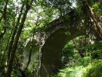 A view of the viaduct about half way between Lochearnhead and St. Fillans,this time from the south side looking west and showing the depth of the piers.<br><br>[John Gray 30/07/2009]