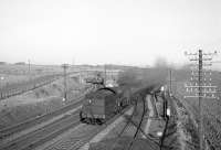 A B1 running tender first approaches Drem station with a westbound train on the ECML in the 1960s. <br><br>[Robin Barbour Collection (Courtesy Bruce McCartney) //]