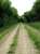 Meon Valley Railway between Alton and Fareham. Section of trackbed near Chawton, part of Jane Austen Walk.<br><br>[Alistair MacKenzie 12/06/2009]