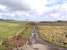 Looking east along the trackbed of the former Berwickshire Railway between Gordon and Greenlaw near Rumbletonlaw in March 2004.<br>
<br><br>[James Young 09/03/2004]