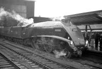 A4 Pacific no 60019 <I>Bittern</I> stands at Carlisle on 12 November 1966 with <I>The Waverley</I>,  a special organised by the RCTS. The train, which started from York, had arrived here via Newcastle and Hexham and, after completing its journey over the Waverley route, returned home via the ECML.  <br>
<br><br>[Robin Barbour Collection (Courtesy Bruce McCartney) 12/11/1966]