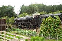 45212 departing a wet Levisham on 1 August 2009.<br><br>[Peter Todd 01/08/2009]