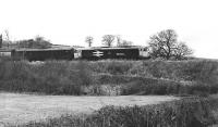 50002 <I>Superb</I> eastbound at Dauntsey on the GWR main line on 23 December 1983. The locomotive is currently being restored by the Devon Diesel Society.<br>
<br><br>[Peter Todd 23/12/1983]