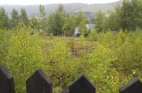 View over the fence at Blair Atholl yard on 19 July 2009. The sidings remain in situ and connected, but covered by a forest of birch trees! Worth comparing with Peter Todd's 1982 picture. [See image 25103].<br><br>[Bill Roberton 19/07/2009]