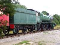 A sorry looking soul alongside Appleby Heritage Centre on 9 August 2009<br><br>[Brian Smith 09/08/2009]