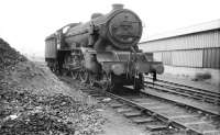 Gresley class B17 4-6-0 no 61600 <I>Sandringham</I> stands alongside the breakdown crane shed on the east side of Darlington MPD following withdrawal from Stratford in July 1958. While conflicting information exists regarding these events, it would seem that 61600 had been sent to Darlington in error and should in fact have gone to Doncaster for disposal. It further appears that the error was noticed soon after 61600 arrived at Darlington, with the locomotive subsequently being taken south to Doncaster, where it was broken up at the end of the following month. [See image 25210] <br>
<br><br>[Robin Barbour Collection (Courtesy Bruce McCartney) 12/07/1958]