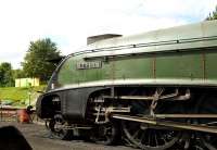 A4 Pacific no 60019 <I>Bittern</I> at Ropley on the Mid Hants Railway on 27 August 2009.<br><br>[Peter Todd 27/08/2009]