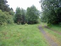 Looking south at Kelso Junction. The Kelso route ran off to the left and the Waverley route to the right (it is in use as a dirt road). [See image 29882]<br><br>[Ewan Crawford 08/06/2003]