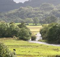 The River Urr flows south through Kirkcudbrightshire towards the Solway Firth a mile west of Dalbeattie on 1 September 2009. Trains on the former Dumfries - Stranraer <I>Port Road</I> crossed the river here prior to closure of the route in 1965. The old piers of Barsoles viaduct still stand and can be seen running across the centre of the photograph.<br>
<br><br>[John Furnevel 01/09/2009]