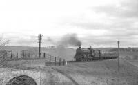 B1 no 61324 has just cleared Roxburgh Viaduct and is approaching the station with <I>Scottish Rambler No 2</I> on 14 April 1963. The B1 was on the leg from Coldstream to Hawick, where it would hand over to A3 Pacific no 60041 <I>Salmon Trout</I> for the next stage to Carlisle. <br>
<br><br>[K A Gray 14/04/1963]