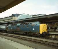 Deltic 55011 <I>The Royal Northumberland Fusiliers</I> with an ECML train at York on 12 May 1979.<br><br>[Peter Todd 12/05/1979]