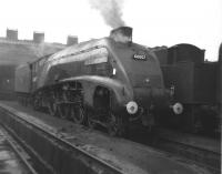 A4 Pacific no 60007 <I>Sir Nigel Gresley</I> simmers in the yard at New England shed, Peterborough, (34E) in July 1963.<br><br>[David Pesterfield 07/07/1963]