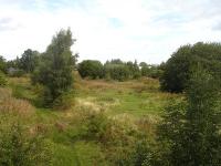 Site of the former GWR Croes Newydd shed (latterly 89B) with the  southern spur of the Brymbo branch triangle curving off centre left by the tall tree. [See image 28292] <br><br>[David Pesterfield 01/09/2009]