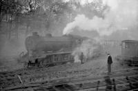 Shunting the Fettykill Paper Mill branch at Leslie in 1966. J38 no 65915 of Thornton Junction shed doing the honours.<br><br>[Robin Barbour Collection (Courtesy Bruce McCartney) //1966]