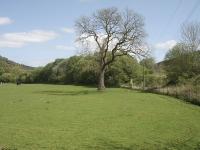 Former Ruthin line curving off to left following tree line to cross River Dee, with Ruabon line running straight ahead. <br><br>[David Pesterfield 07/05/2009]