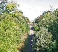 Hassendeanburn, a little south of Hassendean, looking north. A footbridge still crosses the formation here.<br><br>[James Young 26/09/2009]