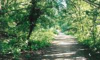 If you know anyone who thinks that walking old railways means tripping over sleepers or getting covered in mud, show them this. A far cry from the busyness of Victorian times, when there were 4 junctions in a mile, and coal trains aplenty.<br><br>[Ken Strachan 30/05/2009]