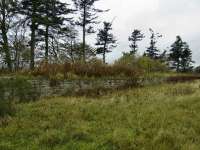 The goods platform at Tochieneal Station a mile and a quarter from Cullen. Although not far from Cullen it was larger with a more extensive goods yard.<br><br>[John Gray 22/10/2009]