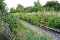 Looking east to the former Verney Junction station in September 2009. Further east there was a junction between the Buckinghamshire Railway to Bletchley and the line to Quainton Road. To the west was the junction between the lines to Banbury and Oxford.<br><br>[Ewan Crawford 06/09/2009]