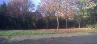 The stone block forecourt is on the South side, the station master's house is on the North side - not much in between since 1969 or so.<br><br>[Sally Strachan 24/10/2009]