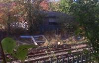 This waiting shelter on the North side (towards Nuneaton) is very well preserved, considering every other building on Abbey St. has been demolished. It is easier to see from a train than on foot!<br><br>[Ken Strachan 24/10/2009]