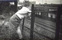<I>The enthusiast #1.</I>  A young Craig Seath observes activity in Meadows Yard, between Leith Docks and Potobello, around 1963. View is from Wakefield Avenue looking towards the Forth with Seafield Road East on the other side of the wall beyond the mineral wagons. [See image 6696]<br>
<br><br>[Craig Seath Collection //1963]