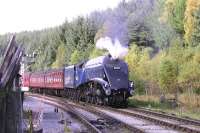 <I>Clear the way!</I> No 7 whistles for the level crossing with a Grosmont - Pickering train at Levisham on 1 October 2009.<br>
<br><br>[Colin Miller 01/10/2009]