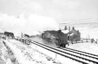 Snow on Whitrope. A4 Pacific no 60023 <I>Golden Eagle</I>, having just breasted the summit, takes a train south past Whitrope cottages in the 1960s, with the signal box completely hidden by the locomotive's exhaust. This location is now the headquarters of the Waverley Route Heritage Association.<br><br>[Robin Barbour Collection (Courtesy Bruce McCartney) //]