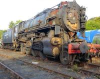 A United States Army Transportation Corps S160 2-8-0, designed for use in Europe during WWII on heavy freight work. This example. no 2253, is  currently out of use at Grosmont shed, where it was photographed on 5 October 2009. A total of 2,120 of these locomotives was built - this one is understood to be for sale. <br>
<br><br>[Colin Miller 05/10/2009]