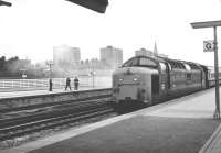 Deltic 55011 <I>The Royal Northumberland Fusiliers</I> arriving at Doncaster with a train from the south on 7 February 1981.<br><br>[Peter Todd 07/02/1981]