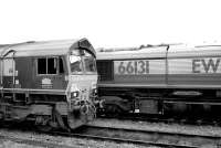 EWS liveried 66098 & 66131 at Didcot on 21 November 2009.<br><br>[Peter Todd 21/11/2009]