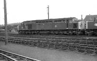 40135 awits its next duty on shed at Ferryhill in 1974. The loco is still in BR Green with lion and wheel crest although it has received a TOPS number. At the right hand end the original number has been painted out.<br><br>[John McIntyre //1974]