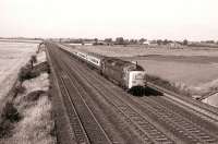 Deltic 55002 <I>The King's Own Yorkshire Light Infantry</I> at the head of an up ECML train passing the Edinburgh - London <I>half way</I> sign at Shipton, on the northern approach to York, on 16 August 1980<br>
<br><br>[Peter Todd 16/08/1980]